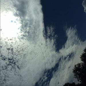 Meet your Posher, Kimber